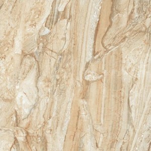 Gạch lát sàn Trường Thịnh STONE TEXTURE TT66702